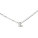 CADENA CON INICIAL L PEQUEÑA