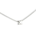 CADENA CON INICIAL X PEQUEÑA