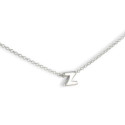 CADENA CON INICIAL Z PEQUEÑA